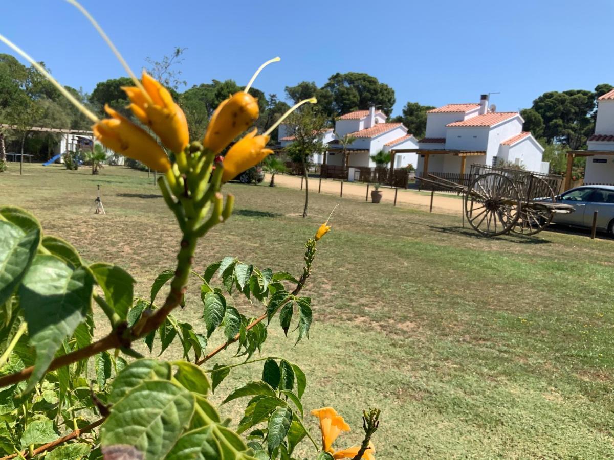 Villas Empuries, Garden & Private Pool 圣马蒂登普里斯 外观 照片